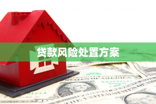 阳春贷款风险处置方案