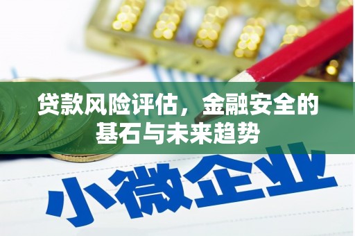 阳春贷款风险评估，金融安全的基石与未来趋势