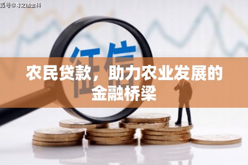 阳春农民贷款，助力农业发展的金融桥梁