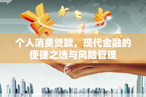 阳春个人消费贷款，现代金融的便捷之选与风险管理