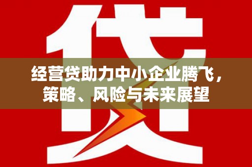 阳春经营贷助力中小企业腾飞，策略、风险与未来展望
