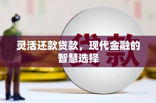 阳春灵活还款贷款，现代金融的智慧选择