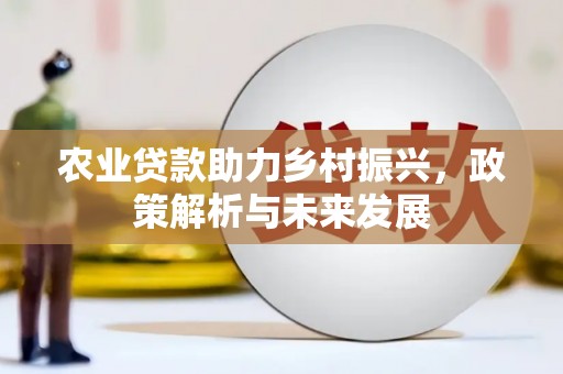 阳春农业贷款助力乡村振兴，政策解析与未来发展