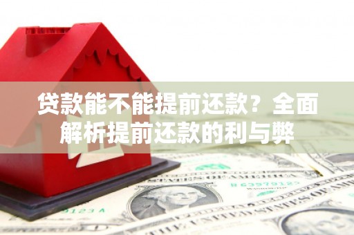 阳春贷款能不能提前还款？全面解析提前还款的利与弊
