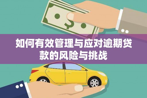 阳春如何有效管理与应对逾期贷款的风险与挑战