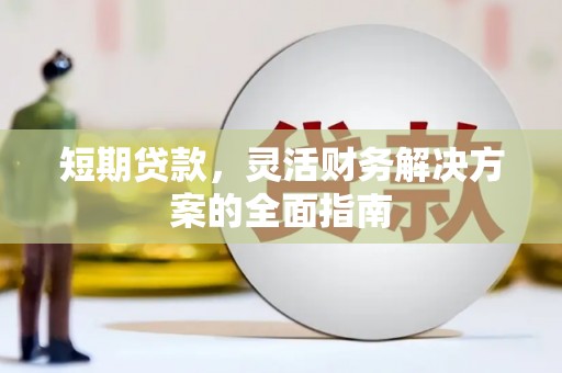 阳春短期贷款，灵活财务解决方案的全面指南
