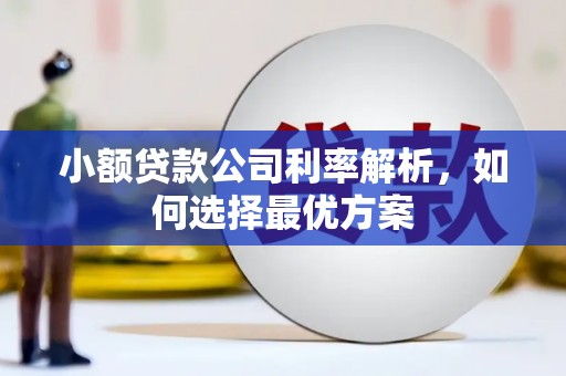 阳春小额贷款公司利率解析，如何选择最优方案