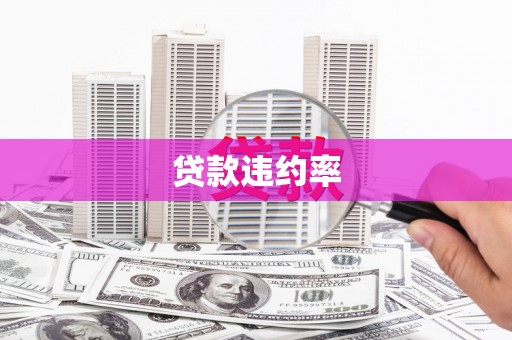 阳春贷款违约率