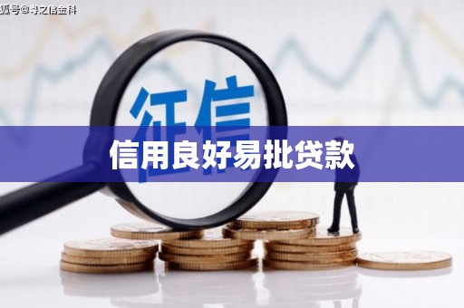 阳春信用良好易批贷款