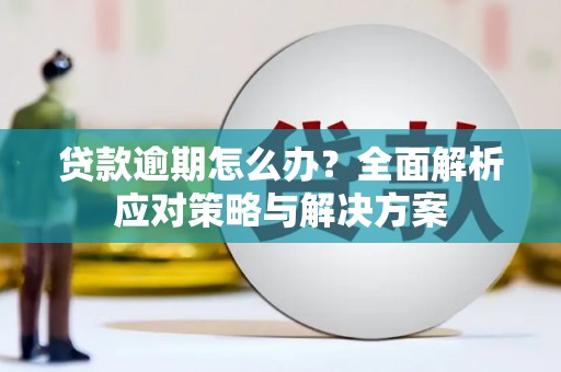 阳春贷款逾期怎么办？全面解析应对策略与解决方案