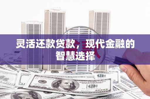 阳春灵活还款贷款，现代金融的智慧选择