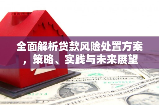 阳春全面解析贷款风险处置方案，策略、实践与未来展望