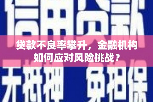 阳春贷款不良率攀升，金融机构如何应对风险挑战？