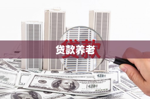 阳春贷款养老