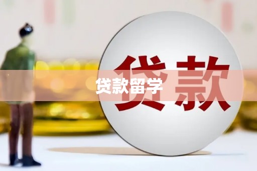 阳春贷款留学