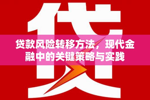 阳春贷款风险转移方法，现代金融中的关键策略与实践