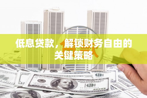 阳春低息贷款，解锁财务自由的关键策略