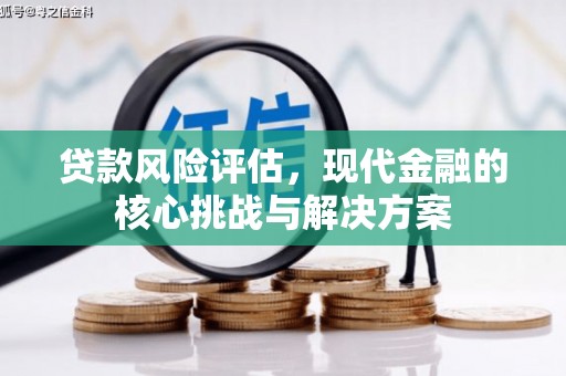 阳春贷款风险评估，现代金融的核心挑战与解决方案
