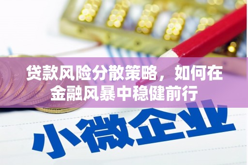 阳春贷款风险分散策略，如何在金融风暴中稳健前行