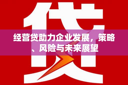 阳春经营贷助力企业发展，策略、风险与未来展望
