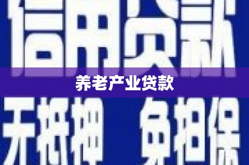 阳春养老产业贷款