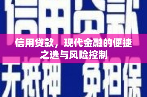阳春信用贷款，现代金融的便捷之选与风险控制