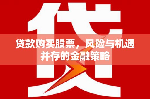 阳春贷款购买股票，风险与机遇并存的金融策略