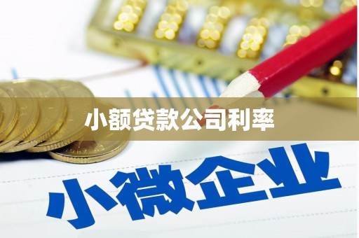 阳春小额贷款公司利率