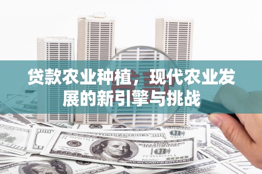 阳春贷款农业种植，现代农业发展的新引擎与挑战