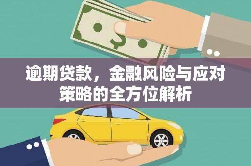 阳春逾期贷款，金融风险与应对策略的全方位解析