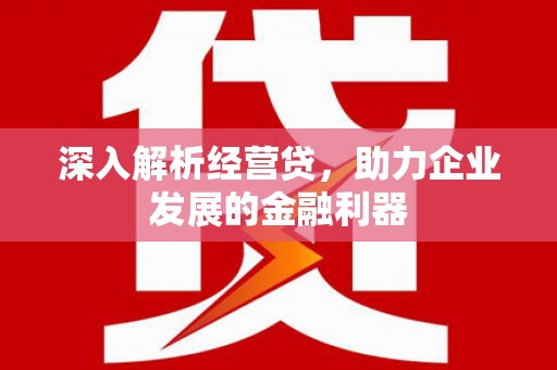 阳春深入解析经营贷，助力企业发展的金融利器