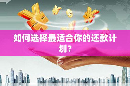 阳春如何选择最适合你的还款计划？