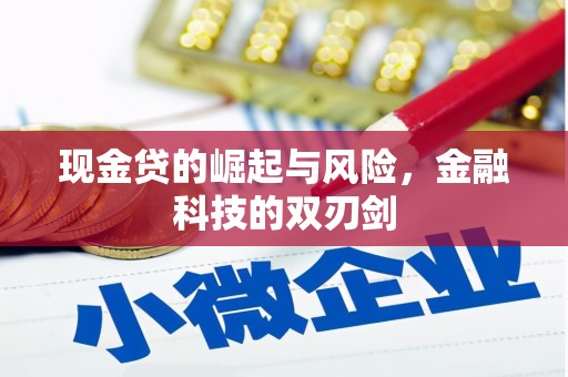 阳春现金贷的崛起与风险，金融科技的双刃剑