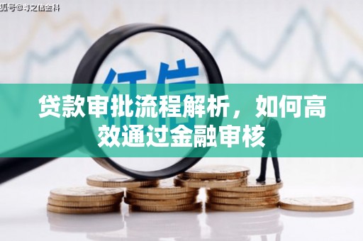 阳春贷款审批流程解析，如何高效通过金融审核