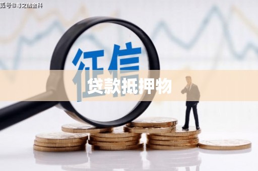 阳春贷款抵押物