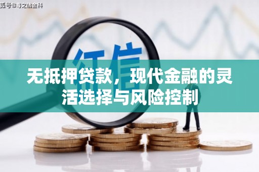 阳春无抵押贷款，现代金融的灵活选择与风险控制