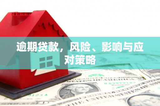 阳春逾期贷款，风险、影响与应对策略