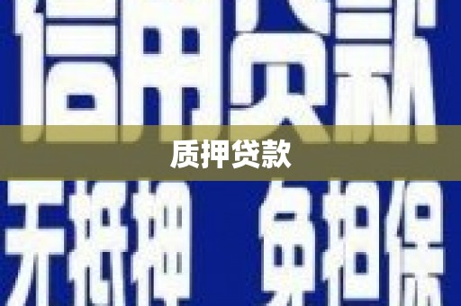 阳春质押贷款