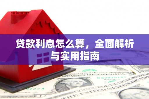 阳春贷款利息怎么算，全面解析与实用指南