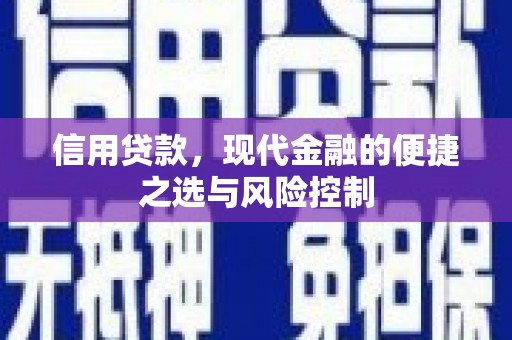阳春信用贷款，现代金融的便捷之选与风险控制