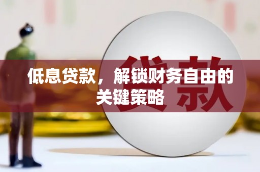 阳春低息贷款，解锁财务自由的关键策略