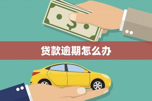 阳春贷款逾期怎么办