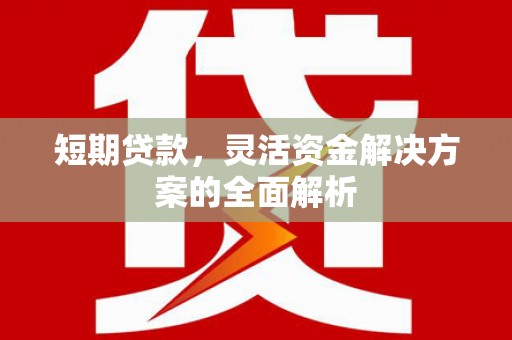 阳春短期贷款，灵活资金解决方案的全面解析
