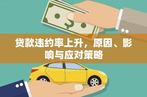 阳春贷款违约率上升，原因、影响与应对策略