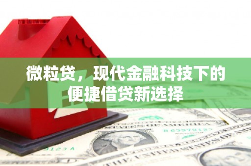 阳春微粒贷，现代金融科技下的便捷借贷新选择