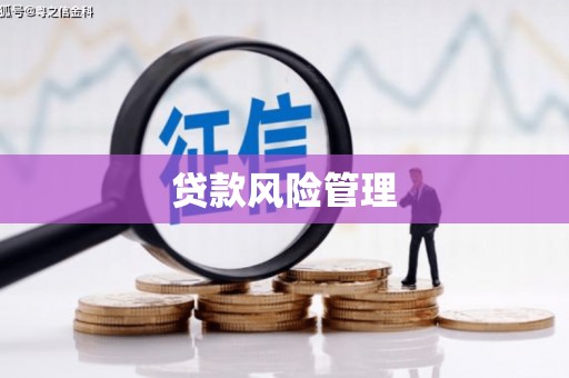 阳春贷款风险管理