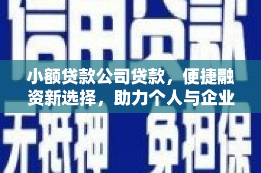 阳春小额贷款公司贷款，便捷融资新选择，助力个人与企业成长