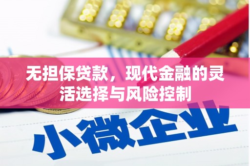 阳春无担保贷款，现代金融的灵活选择与风险控制