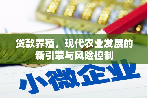阳春贷款养殖，现代农业发展的新引擎与风险控制