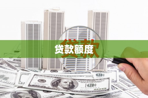 阳春贷款额度